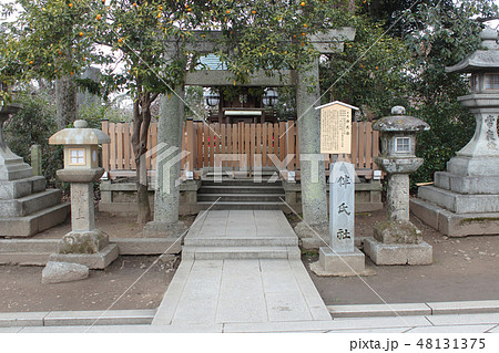 京都 北野天満宮 伴氏社 京都 北野天満宮 伴氏社 48131375