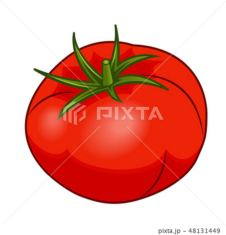 Fresh red tomato with green stem isolated on white background 48131449