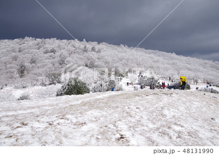 雪の三峰山 雪の三峰山 48131990