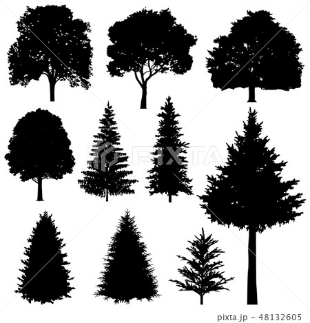Forest coniferous and deciduous fir trees vector silhouettes set Forest coniferous and deciduous fir trees vector silhouettes set 48132605