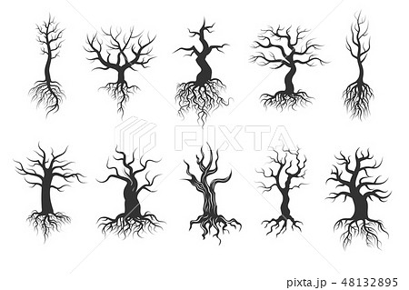 Old tree vector silhouettes with roots vector set Old tree vector silhouettes with roots vector set 48132895