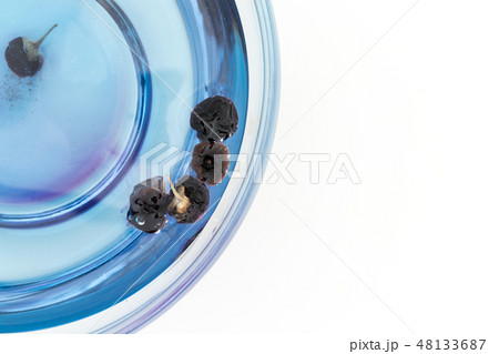 黒ゴジベリー茶　黒クコの実散ティー　黒枸杞茶　ブラック・ゴジベリー・ティー　ブラックウルフベリー 48133687