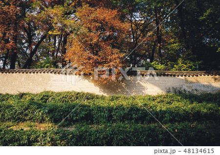 韓国 昌徳宮 鍾路区 48134615