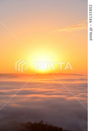 大撫山 大撫山 48135802