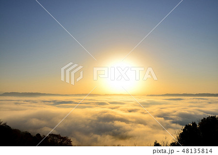 大撫山 大撫山 48135814