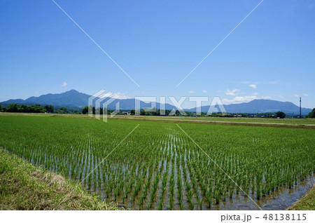 田舎の田園風景 水田 田植え 田舎の田園風景 水田 田植え 48138115
