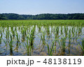 田舎の田園風景　水田　田植え 48138119