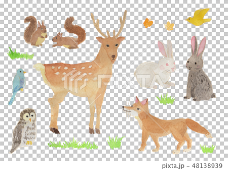 森のいきもの　水彩 48138939