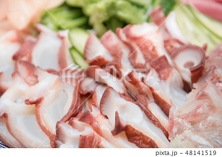 タコの刺身クローズアップ / 北海道の新鮮な海の幸 48141519