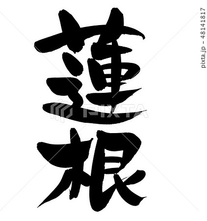 筆文字　れんこん　蓮根　食べ物　イラスト 48141817