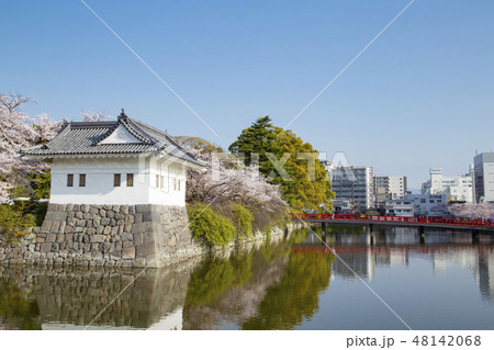 小田原城　お堀、学橋、馬屋曲輪 48142068