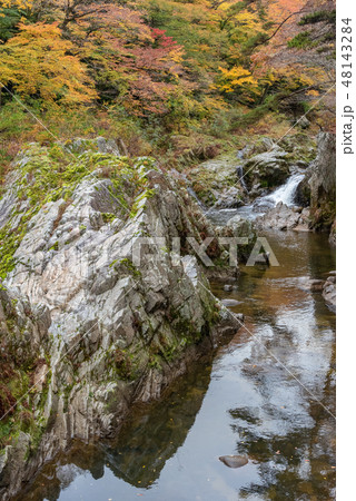 夏井川渓谷(秋) 夏井川渓谷(秋) 48143284