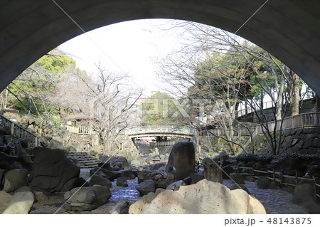 音無親水公園からみる音無橋(おとなしばし) アーチ橋 音無親水公園からみる音無橋(おとなしばし) アーチ橋 48143875