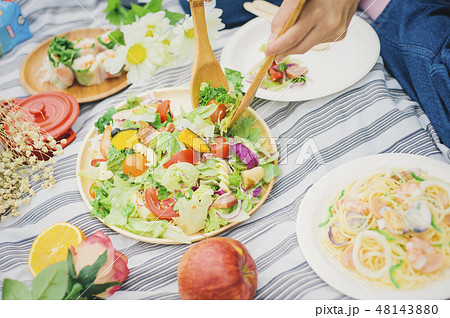 ピクニック　料理　イメージ 48143880