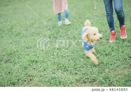 犬とおさんぽ イメージ 犬とおさんぽ イメージ 48143893