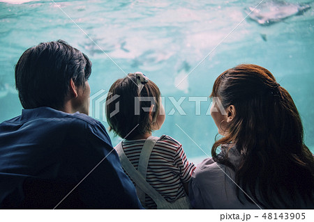 水族館　ファミリー 48143905