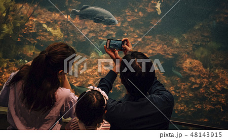 水族館　ファミリー 48143915