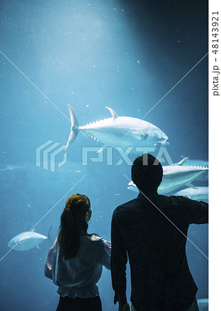 水族館　カップル　夫婦 48143921
