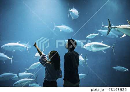 水族館 カップル 夫婦 水族館 カップル 夫婦 48143926