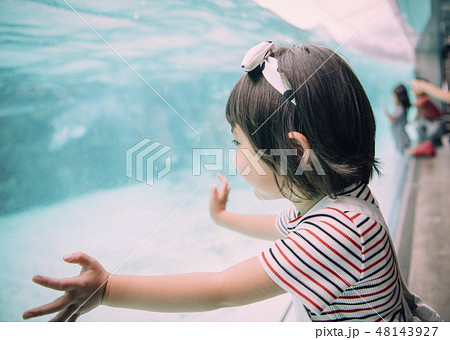 水族館 子供 女の子 水族館 子供 女の子 48143927