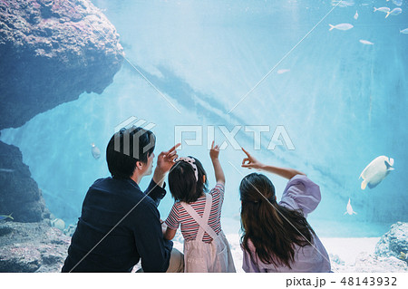 水族館　ファミリー 48143932