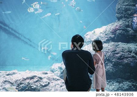 水族館 ファミリー 水族館 ファミリー 48143936