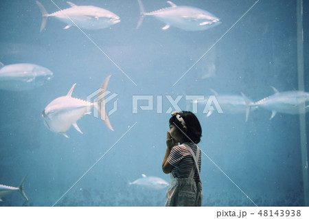 水族館 子供 女の子 水族館 子供 女の子 48143938