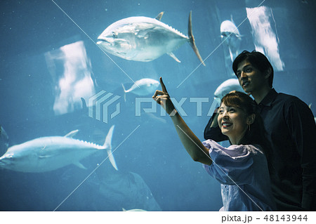 水族館 カップル 夫婦 水族館 カップル 夫婦 48143944