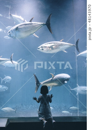 水族館　子供　女の子 48143970