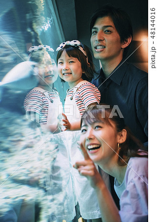 水族館　ファミリー 48144016