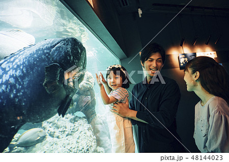 水族館 ファミリー 水族館 ファミリー 48144023