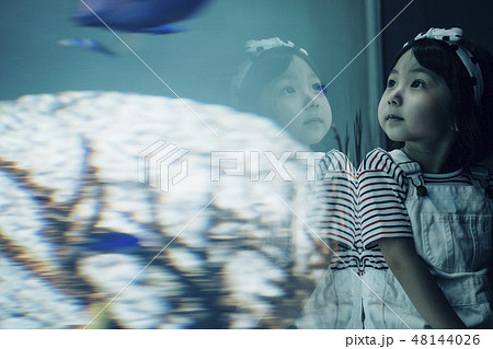 水族館 子供 女の子 水族館 子供 女の子 48144026