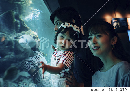 水族館 ファミリー 水族館 ファミリー 48144050
