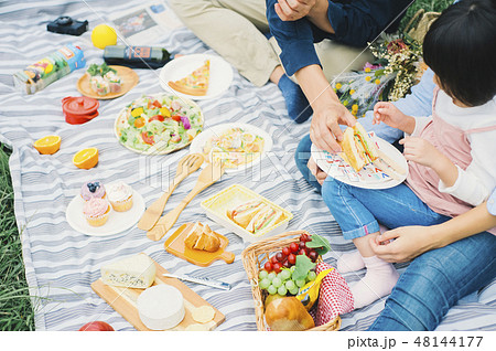 ピクニック ファミリー ピクニック ファミリー 48144177