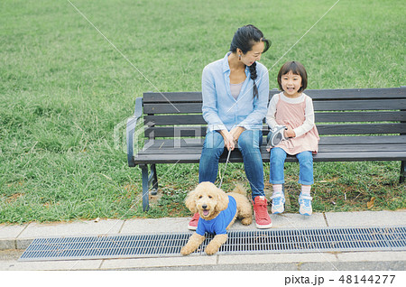 犬とおさんぽ イメージ 犬とおさんぽ イメージ 48144277