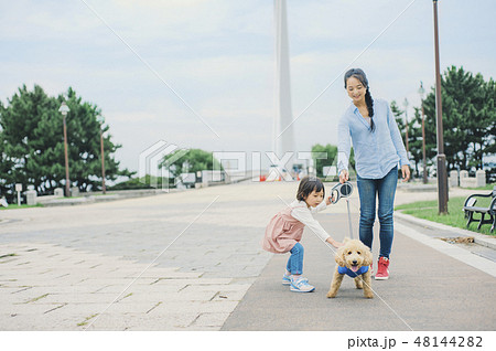 犬とおさんぽ　イメージ 48144282
