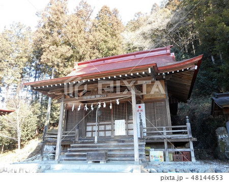 白鳥神社　社殿 48144653