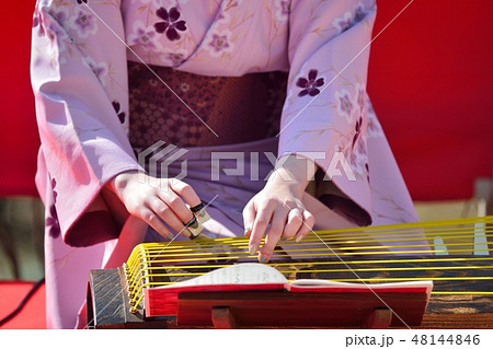 琴の演奏(梅祭り) 琴の演奏(梅祭り) 48144846