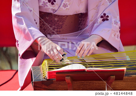 琴の演奏(梅祭り) 琴の演奏(梅祭り) 48144848