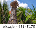 reed umbrellas on Mui Ne beach 48145175