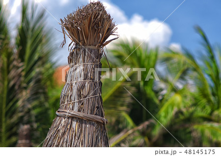 reed umbrellas on Mui Ne beach 48145175