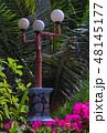 street lamps among coconut leaves 48145177