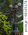 street lamps among coconut leaves 48145178