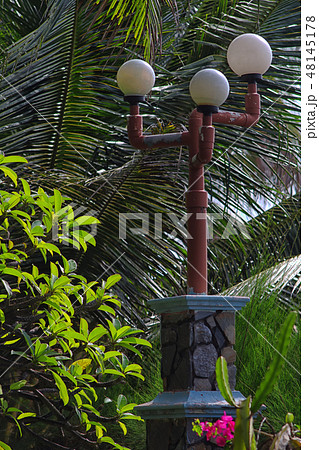 street lamps among coconut leaves 48145178