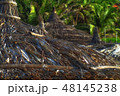 reed umbrellas on Mui Ne beach 48145238