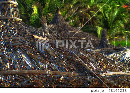 reed umbrellas on Mui Ne beach 48145238