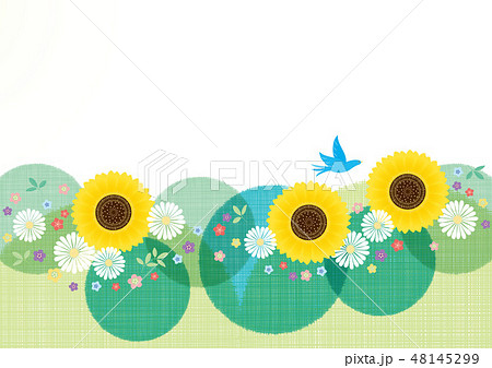 背景素材-夏イメージ(花,鳥)3 背景素材-夏イメージ(花,鳥)3 48145299