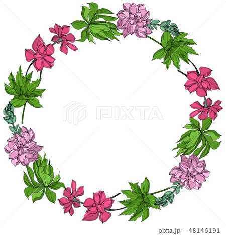 Vector Jungle botanical succulent flower. Engraved ink art illustration. Frame border ornament Vector Jungle botanical succulent flower. Engraved ink art illustration. Frame border ornament 48146191