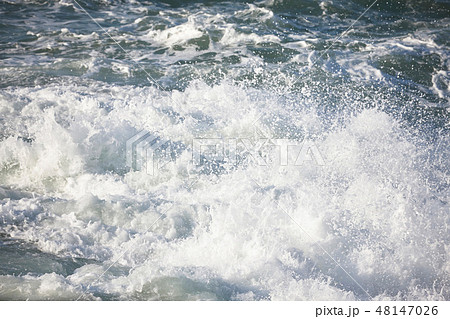 千畳敷から望む大きな波 48147026