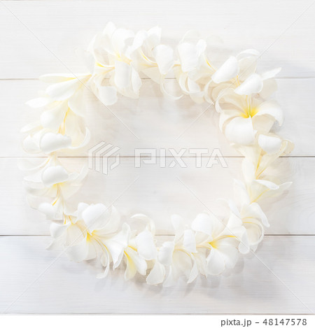 White Plumeria Flower lei garland flat lay on wood White Plumeria Flower lei garland flat lay on wood 48147578